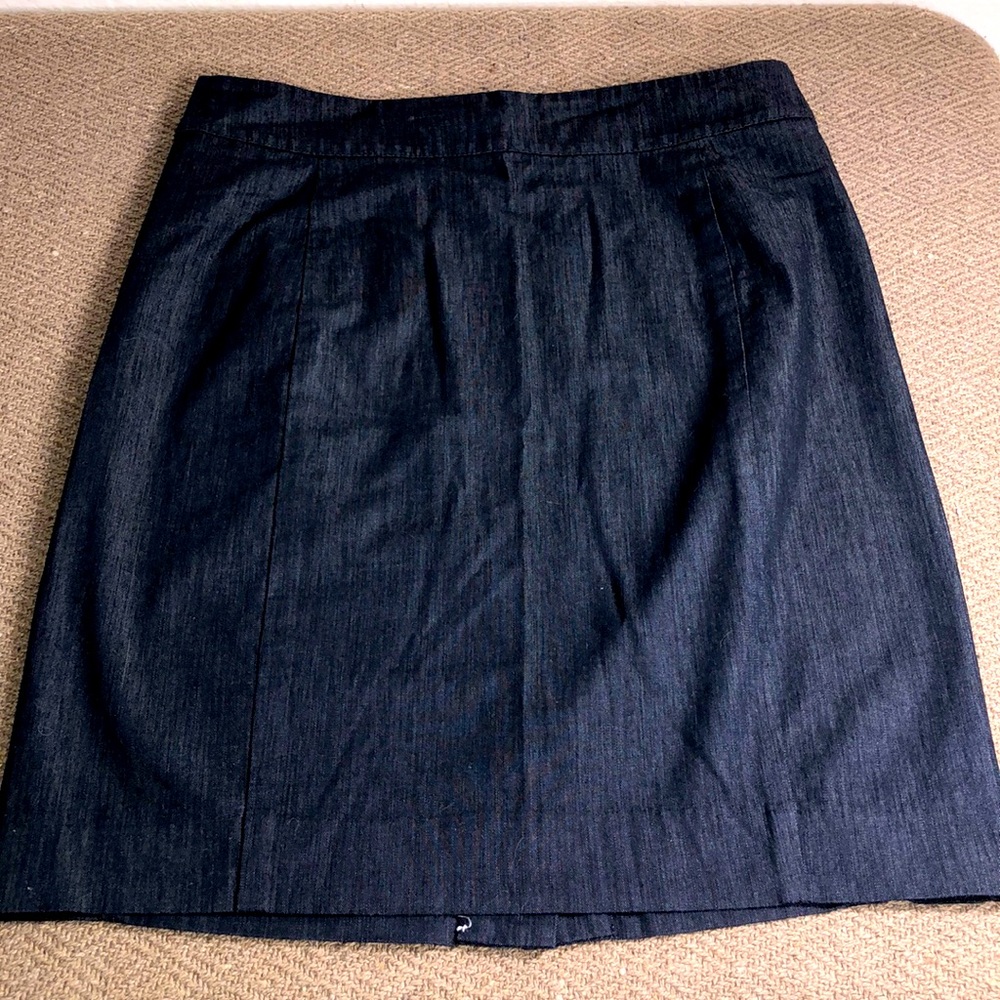 Ann Taylor Loft Petite Skirt